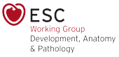 ESC Working Group on Development, Anatomy & Pathology